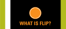 What is Flip?