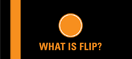 What is Flip?