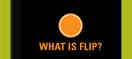 What is Flip?
