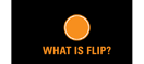 What is Flip?