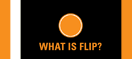 What is Flip?