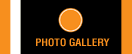 Photo Gallery